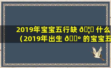 2019年宝宝五行缺 🦈 什么（2019年出生 🌺 的宝宝五行缺什么,起什么名字）